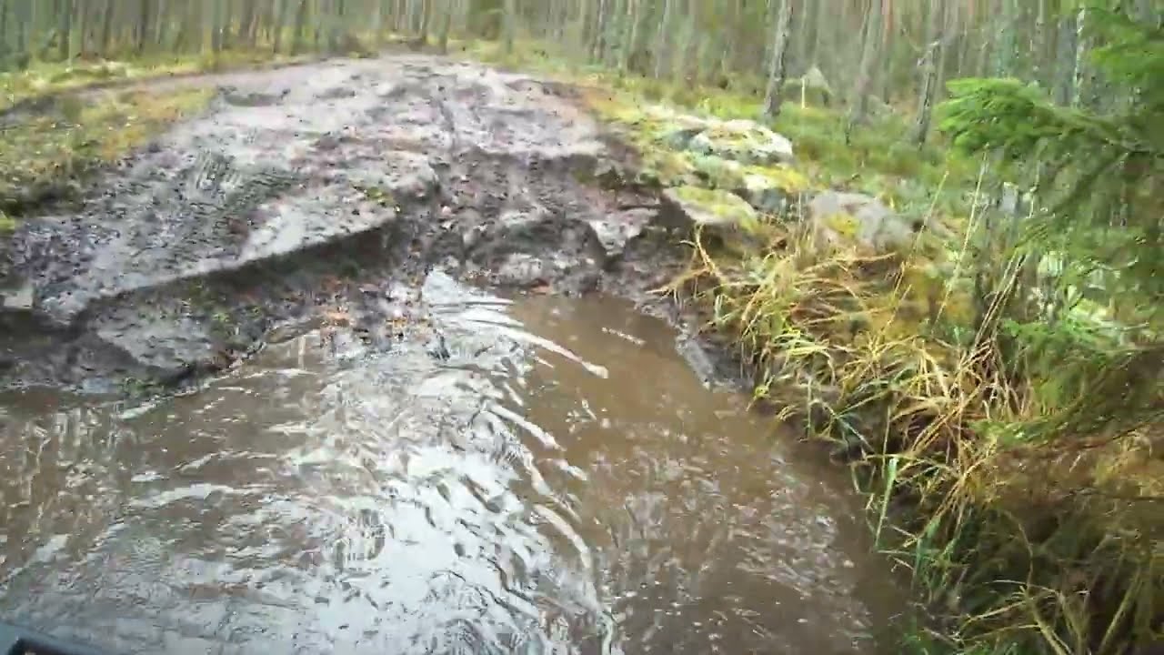 Дорога на онежские петроглифы.  Stels Leopard. Покатушки на квадроцикле