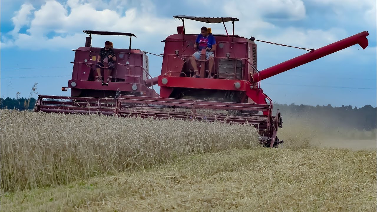 ㋡🔥Żniwa Pszeniczne W Polskim Klimacie🔥★John Deere 3050★Ursus4512★2x Bizon Z056★㋡
