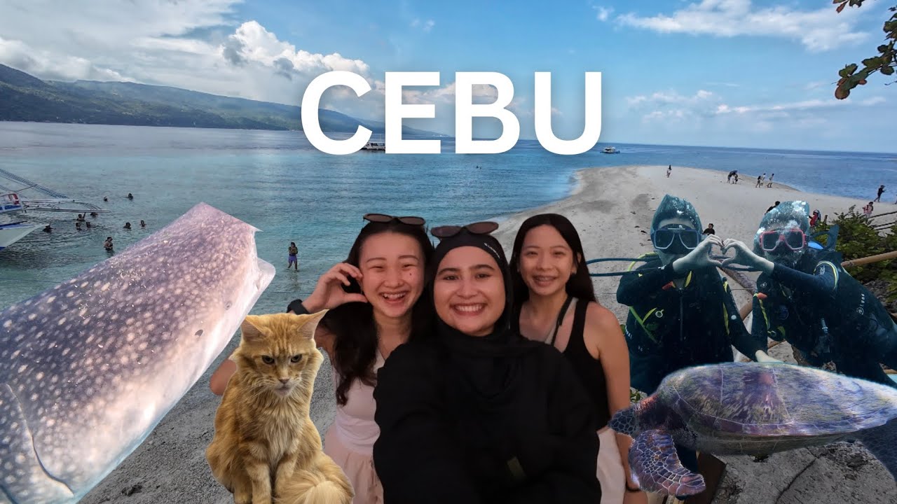 cebu vlog 🇵🇭 | canyoneering, diving, whale shark watching, paragliding 