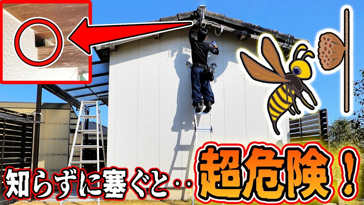 【蜂の巣対策】毎年軒下に蜂が来る原因が判明…知らずに塞ぐと危険な理由と正しい対策🐝