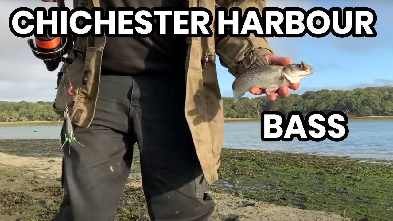 Bass fishing in Chichester Harbour at Copperas Point