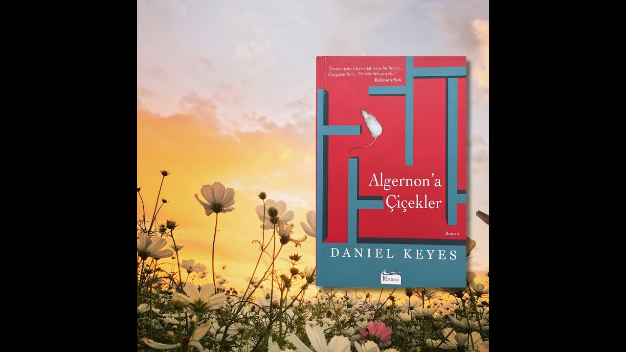 20 Dakika'da - Algernon'a Çiçekler - Daniel Keyes