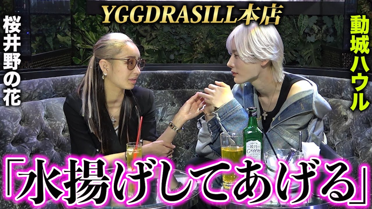 【ユグドラシル】桜井野の花がユグドラシル本店で未来の旦那探し