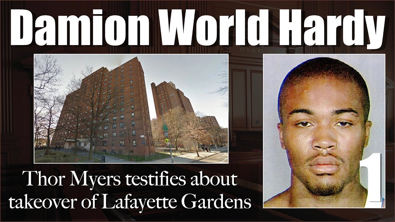 Тор Майерс даёт показания о захвате Lafayette Gardens Projects на судебном процессе Damion World ...