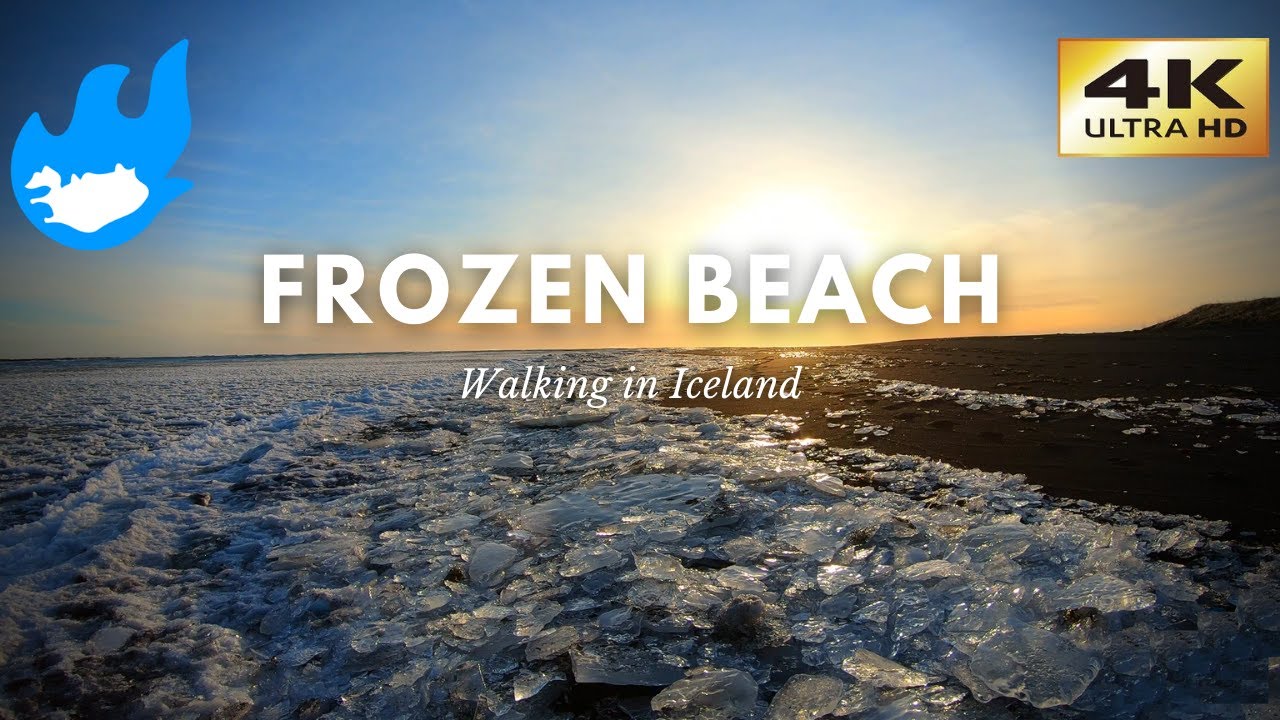 Iceland Walking Tour - Frozen Beach [4K]