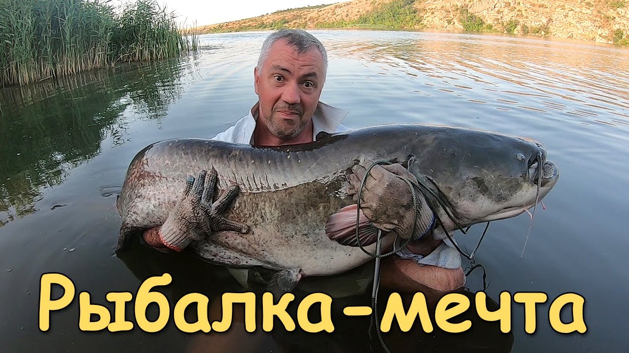 Рыбалка с ночёвкой на сома. Сом на квок
