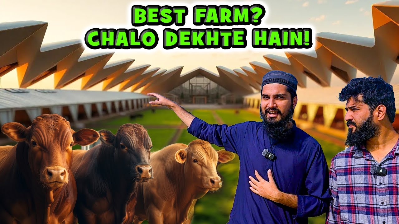 Yeh Farm Pakistan Ki Cattle Breeding Industry Ka Future Hai! 🚀 DayZee Farms