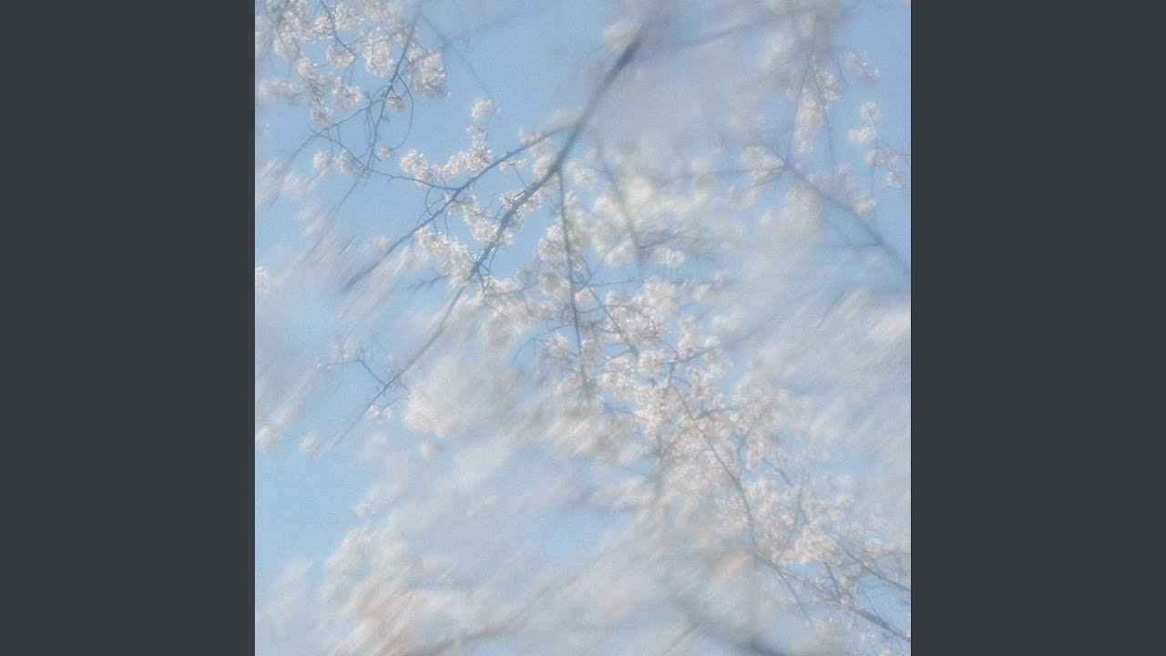 泪の星