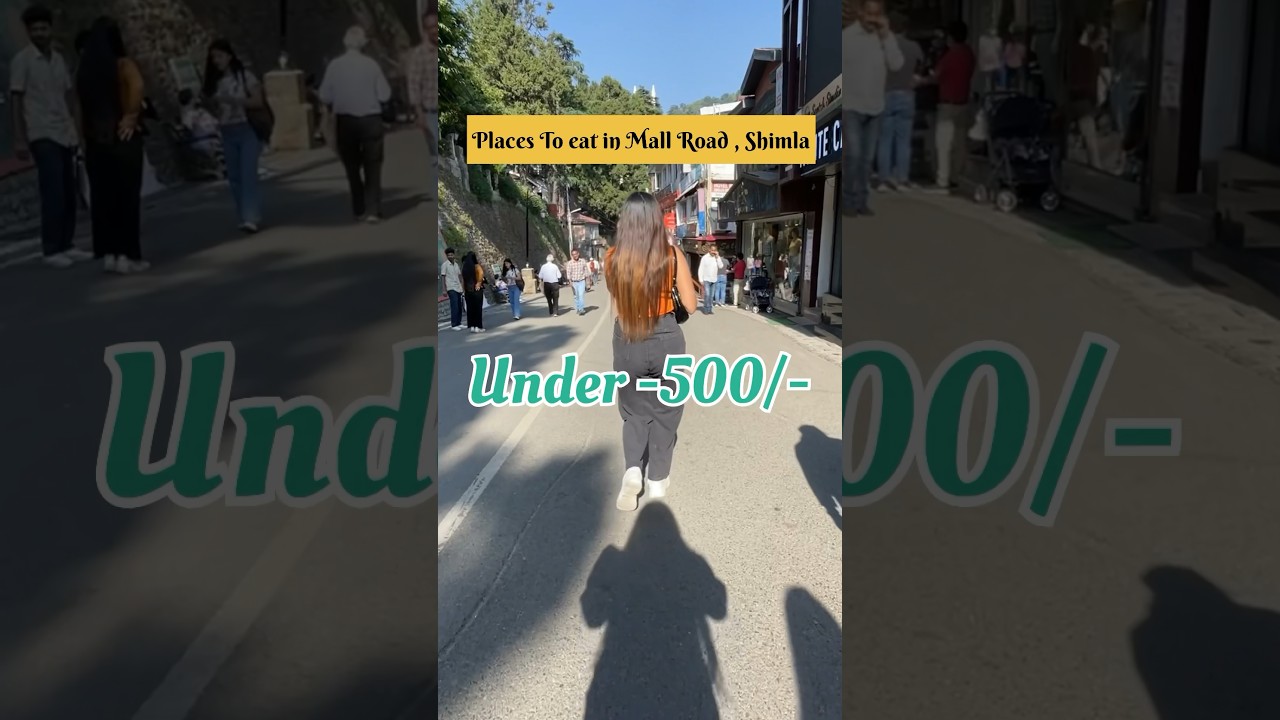 Places to eat in Shimla under 500/- #youtubeshorts #foodshorts #shimla #foodblogger #siddhu #momos