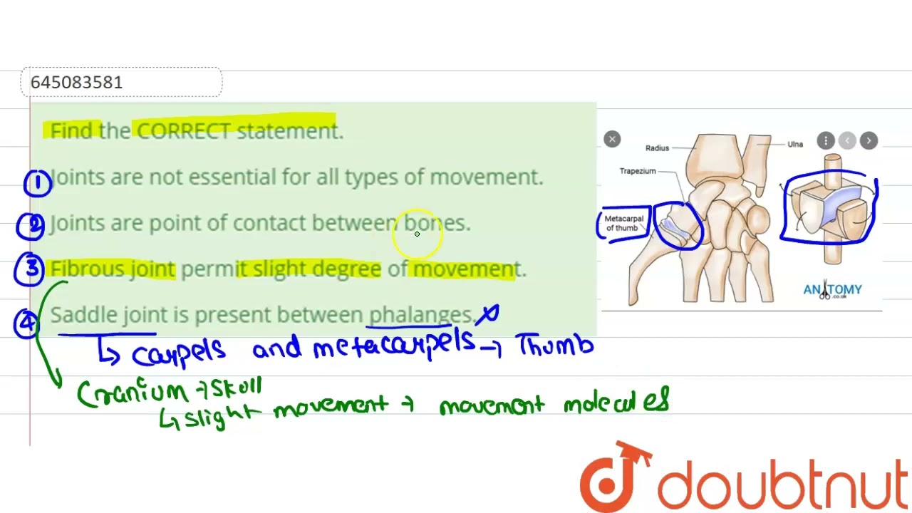 Find the CORRECT statement.  | 12 | NTA NEET SET 96 | BIOLOGY | NTA MOCK TESTS ENGLISH | Doubtnu...