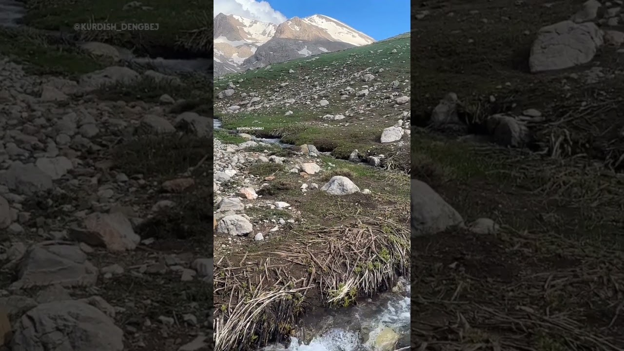 Dengbeji🤍🌾#dengbej #dengbeji #şakiro #dengb&ecirc;jşakiro #dengb&ecirc;j&icirc; #amed #youtubeshorts