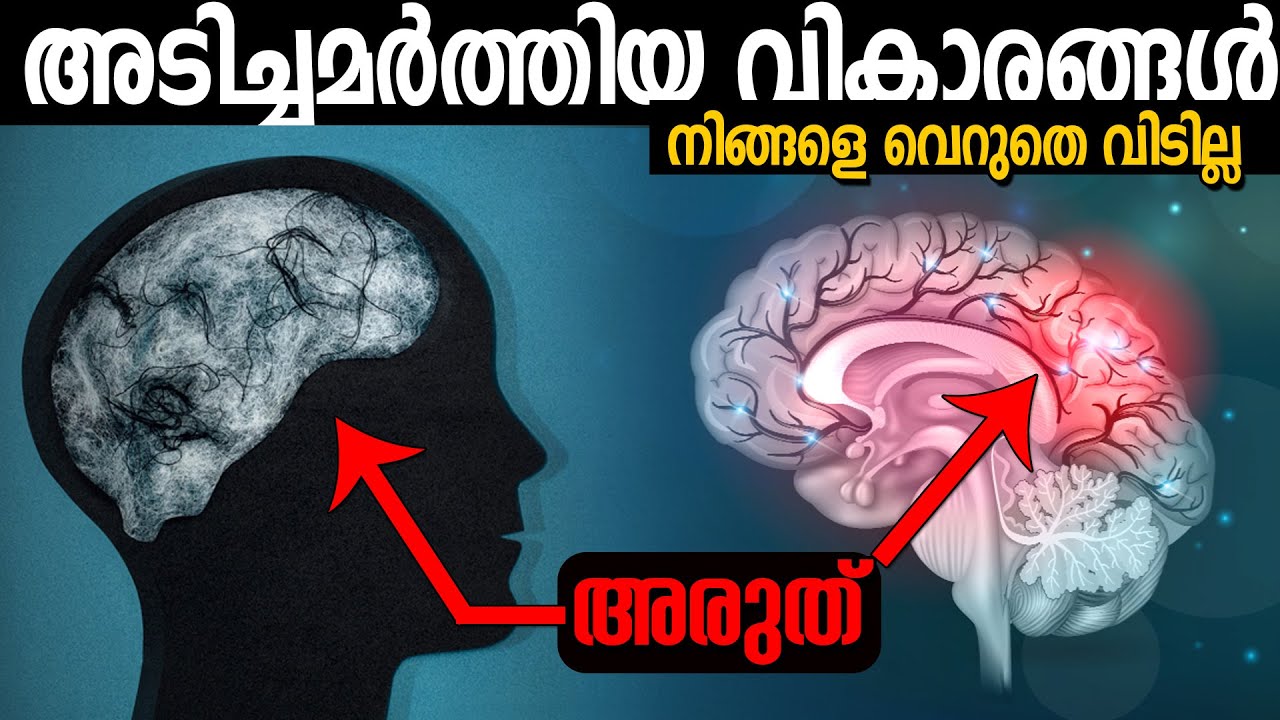 ആരെയോ തൃപ്തിപ്പെടുത്താൻ നിങ്ങൾ നിങ്ങളെ നശിപ്പിച്ചു - ഇനി മാറി ചിന്തിക്കൂ  Shadow self healing