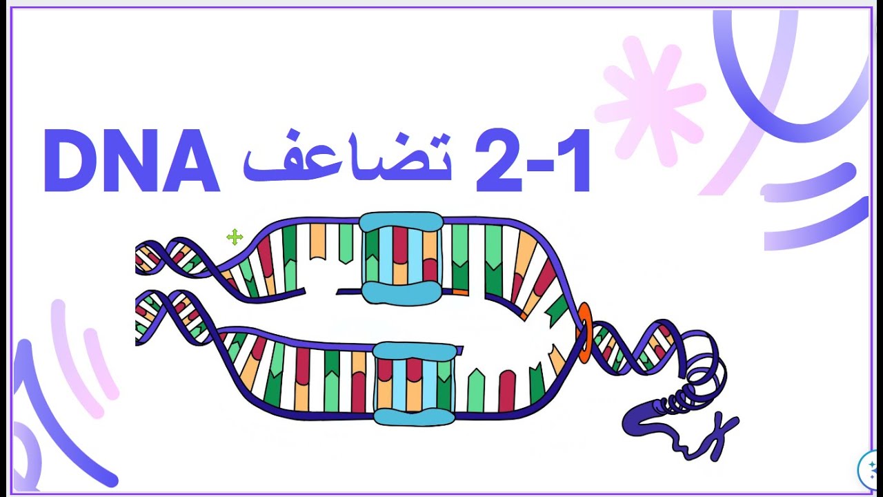 الدرس 1 2 تضاعف DNA كتاب الأحياء 12 كامبريدج