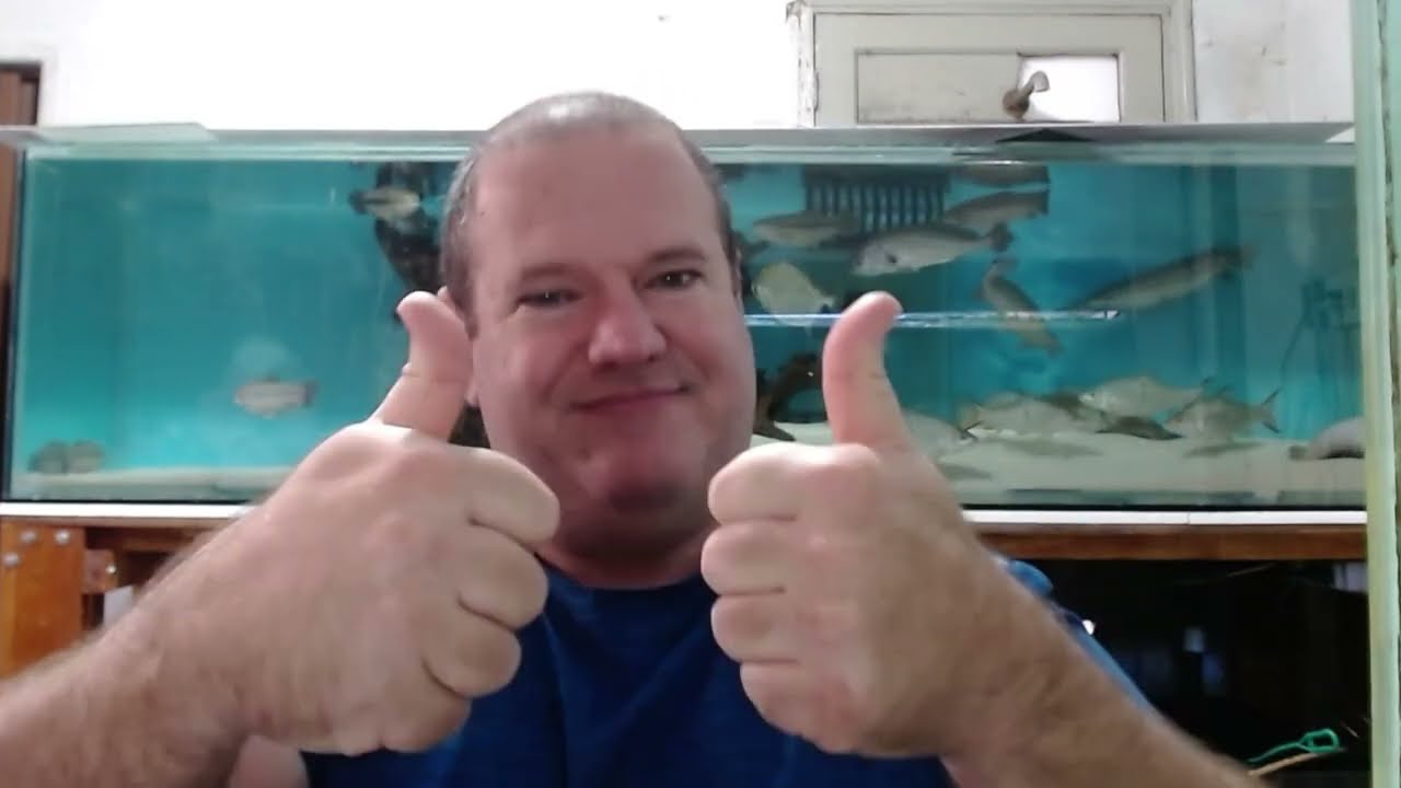 AS 05 MELHORES ESPÉCIES DE CASCUDOS PARA AQUÁRIOS DE CICLÍDEOS AFRICANOS