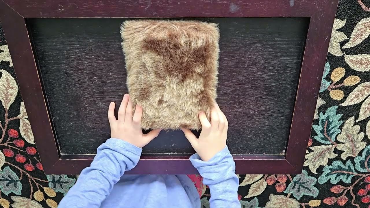 Elvis Reads "Little Fur Family" by Margaret Wise Brown