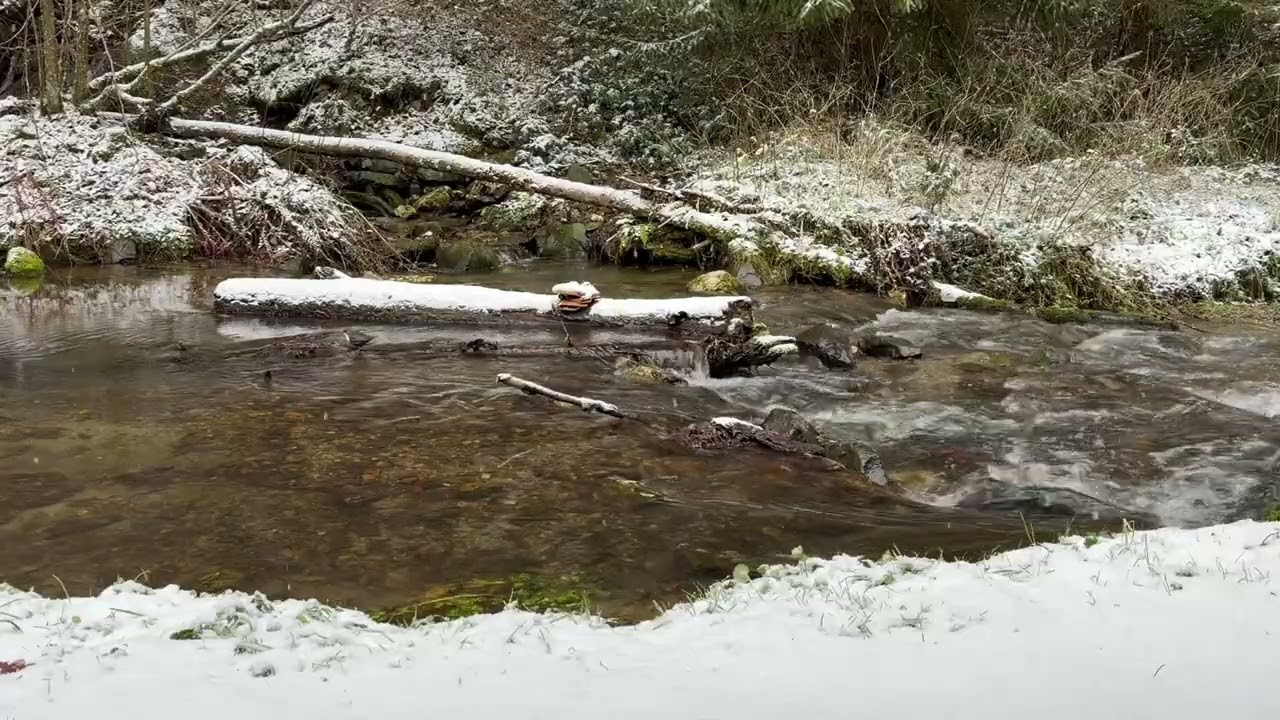 Calming Nature Sound Relaxing Soothing
