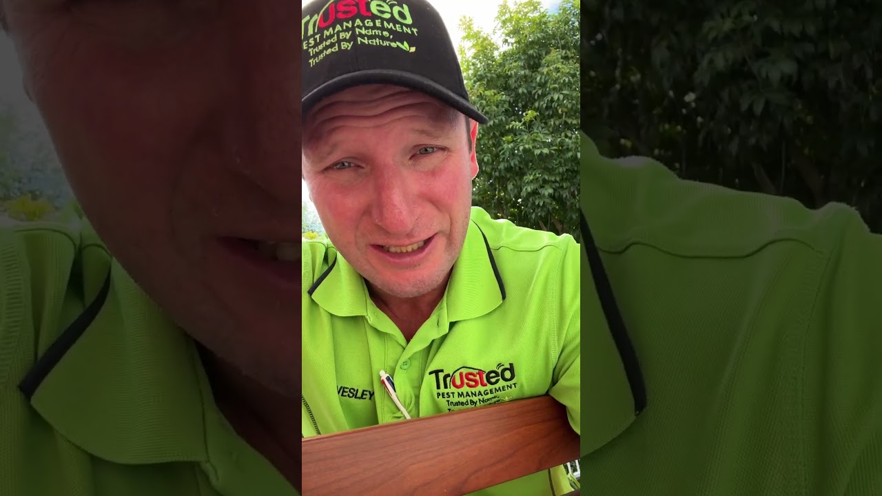 Important of termite inspection & concrete slab edge.