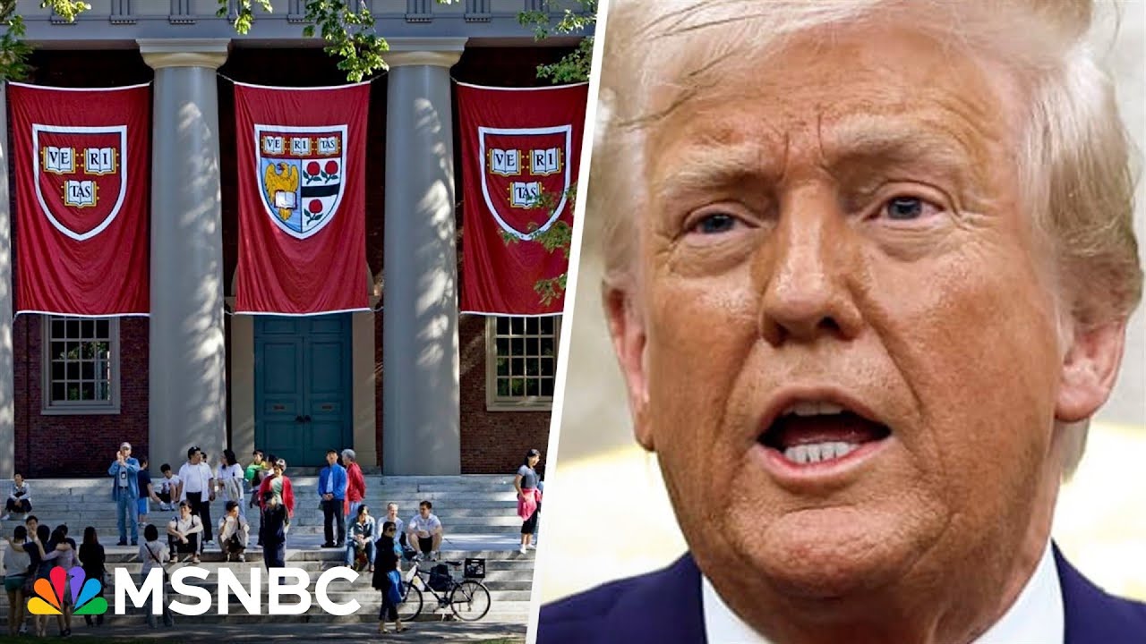 'Page straight out of authoritarian playbooks': Harvard Law Professor slams Trump
