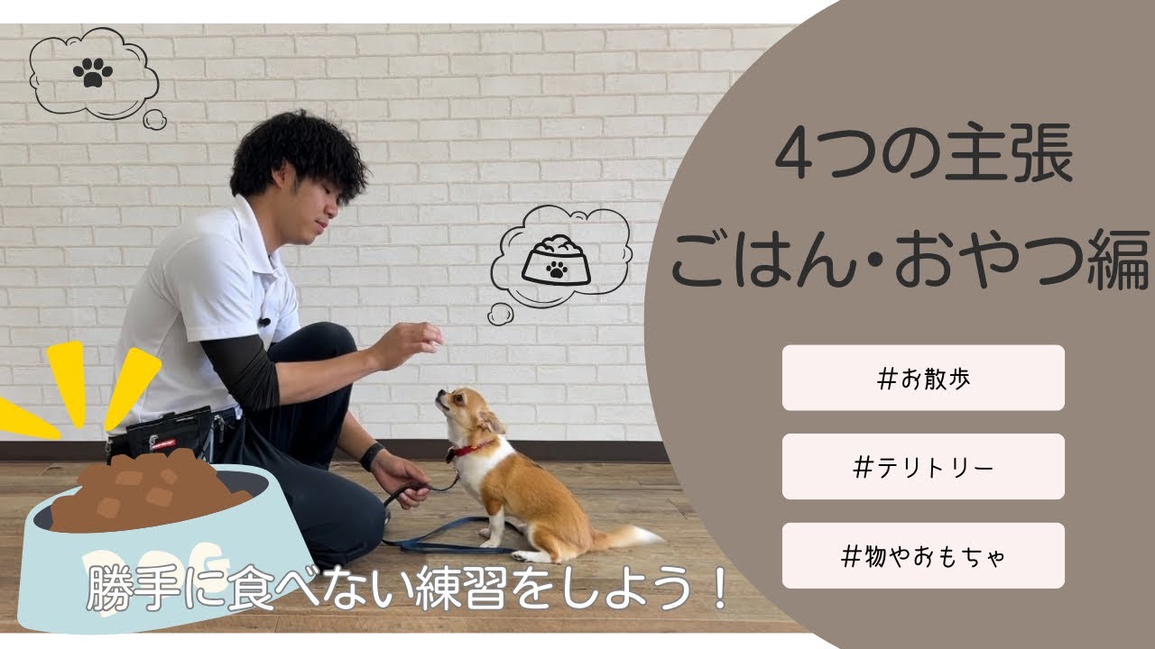 【4つの主張】ご飯・おやつへの主張編