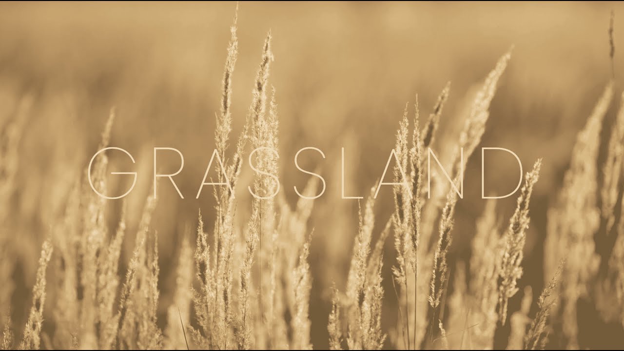GRASSLAND from Unsung - If the Earth Could Sing (Katerina Gimon)