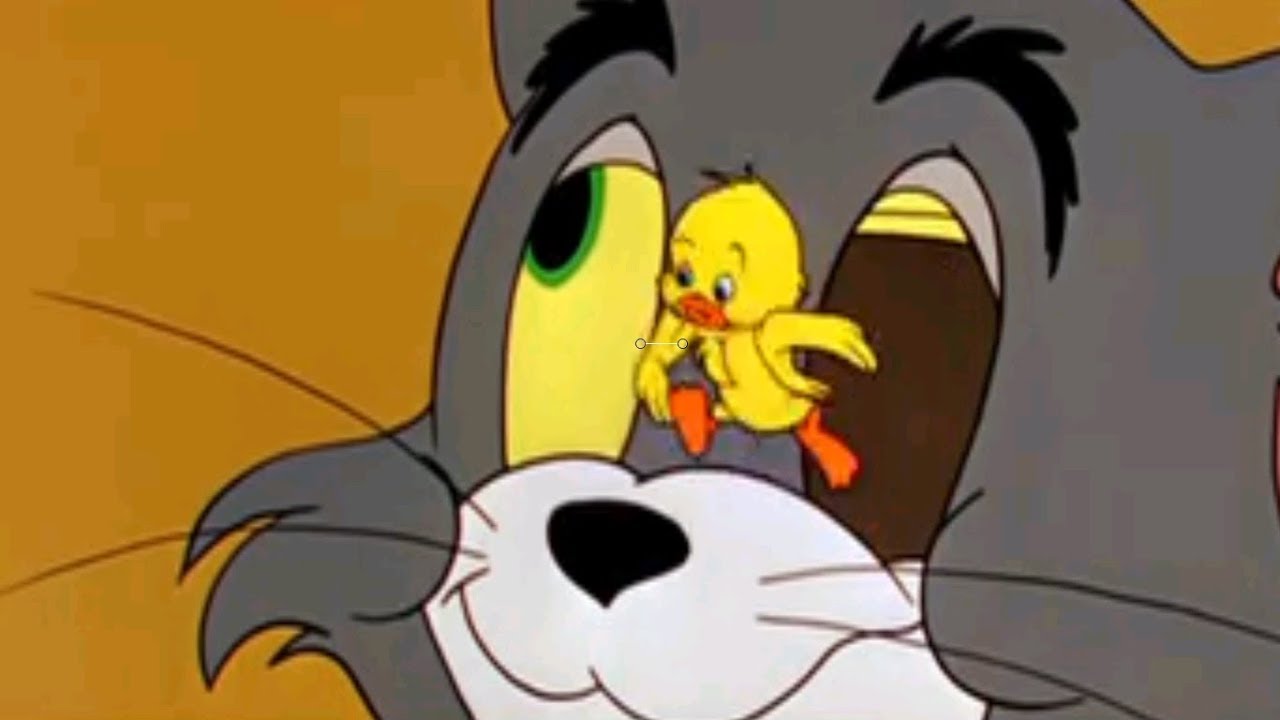 Tom and Jerry - The Vanishing Duck Part 1/3 - Tom Jerry