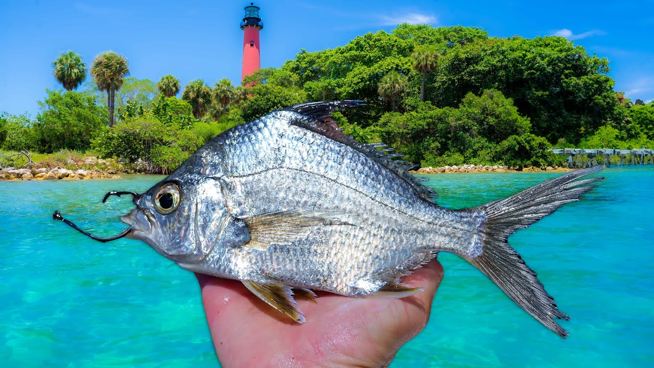 3 Days Chasing the Most Elusive Fish in Florida!