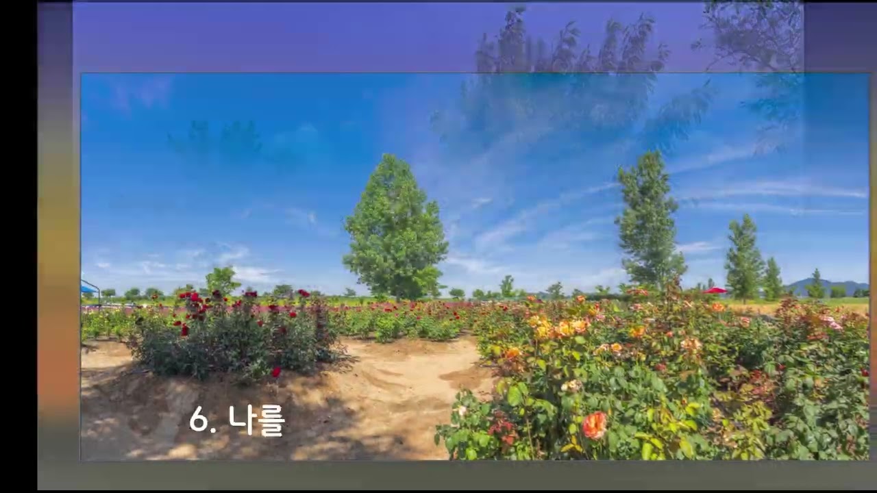 대산플라워랜드 2