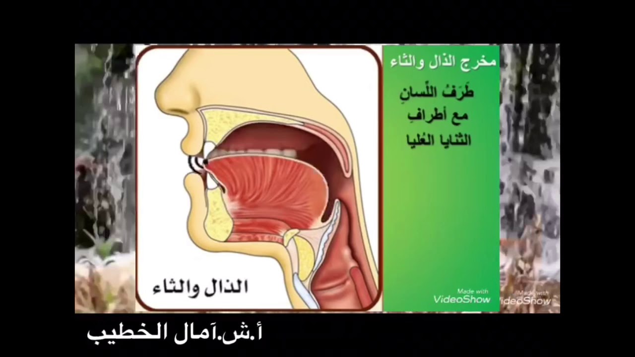 مخرج الظاء والذال والثاء
