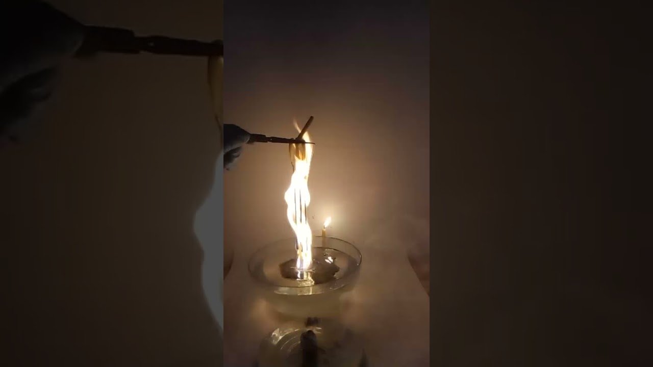 Curățenie specială pentru drumul vieții a sorții și a morții 🪽🤍🕊️2