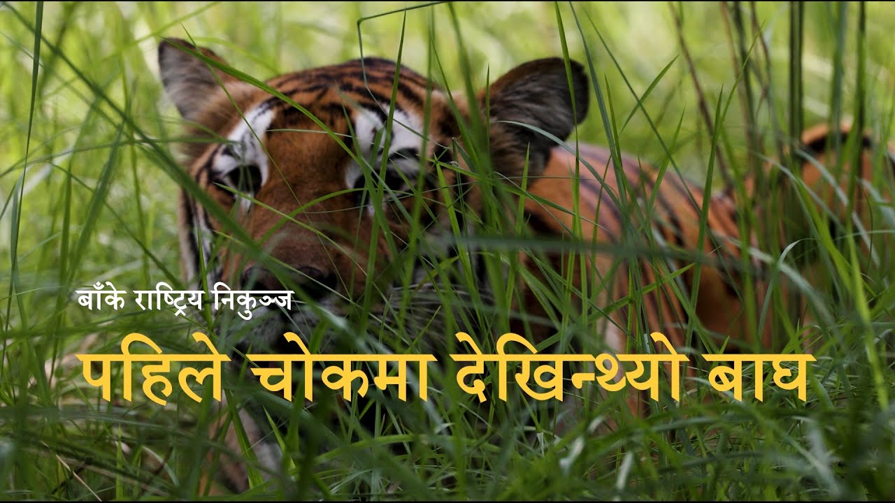 Youngest national park of Nepal |Unexplored natural beauty| Banke National Park | Documentary