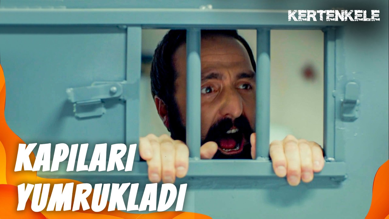 Ziya, hapishanede olay çıkardı - Kertenkele 34. Bölüm