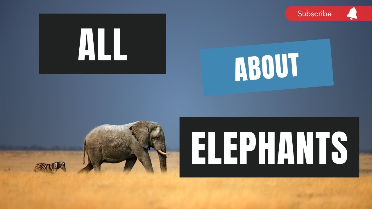 Majestic Giants: Exploring the Wonders of Elephant Lives, Habitats, and Types #elephants