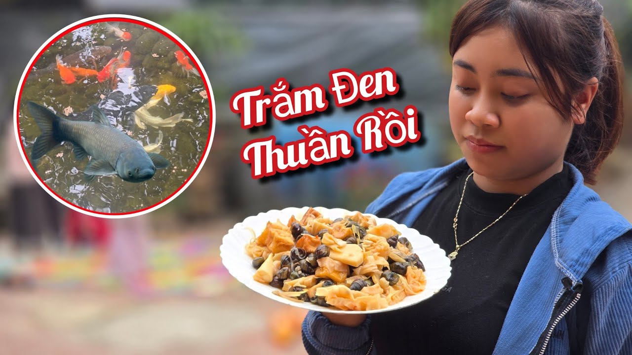 Thuần Được Cá Trắm Đen Thúy Làm Ốc Sào Măng Ăn Mừng / HIỆP CUỘI TV