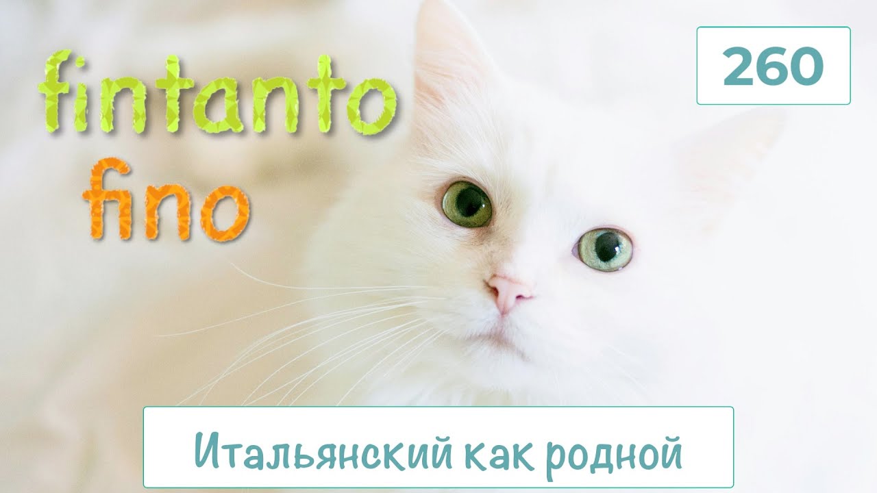 FINTANTO и FINO в итальянском языке с примерами  употребления– 260