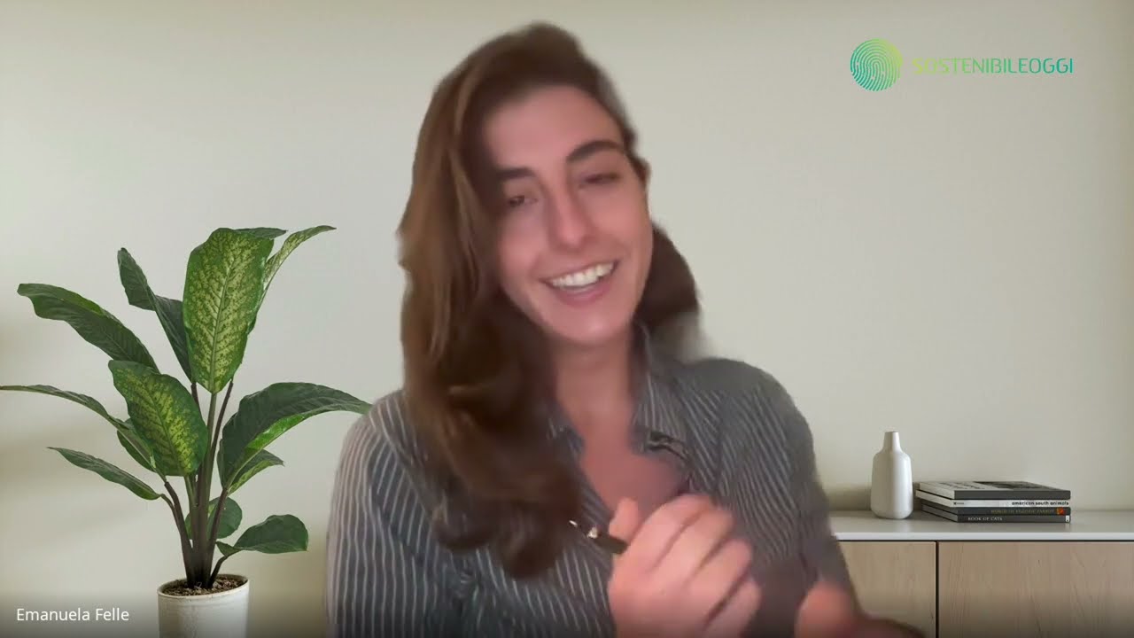 Intervista di SostenibileOggi all'Ing. Luca Nardoni