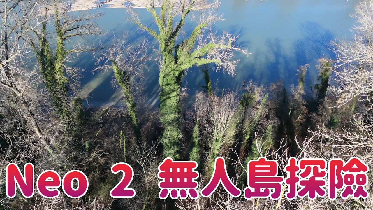無人島森林內部大公開！Neo 2 飛進去才知道多震撼😱