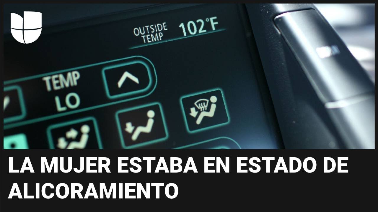 Niña hispana de 3 años muere en un auto bajo calor extremo: su madre fue arrestada