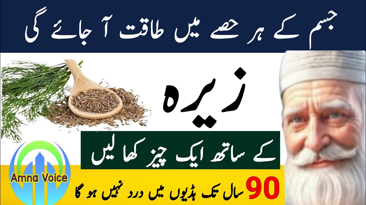 Quotes About life| Sunheri Golden Words | Hikmat ke baatin// Rumi Quotes | Totkay | Best Urdu quotes