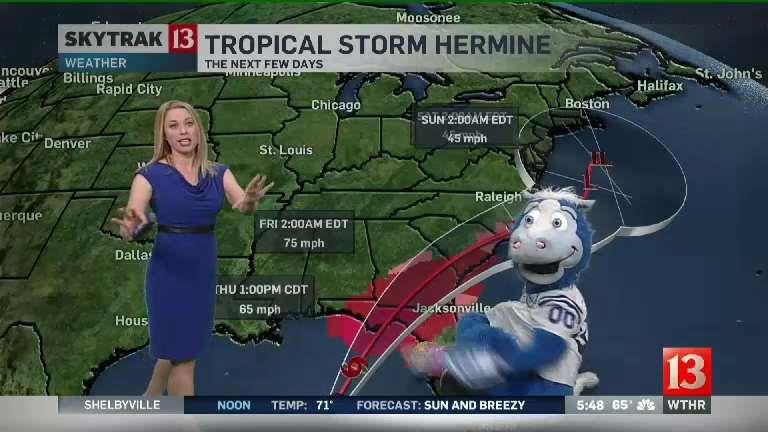Colts mascot Blue invades WTHR Sunrise