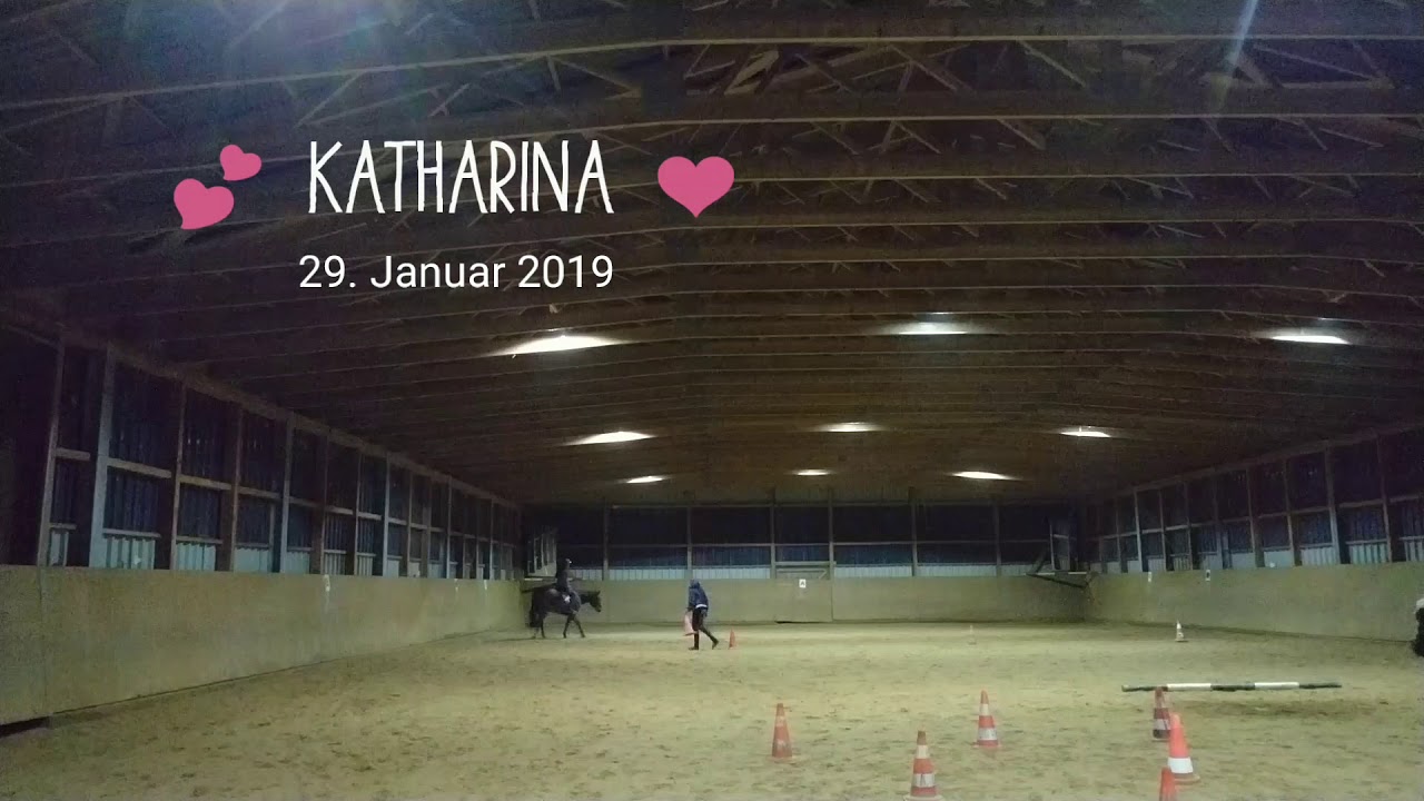 Kathi 💞 Longieren am Halfter mit Pylonen