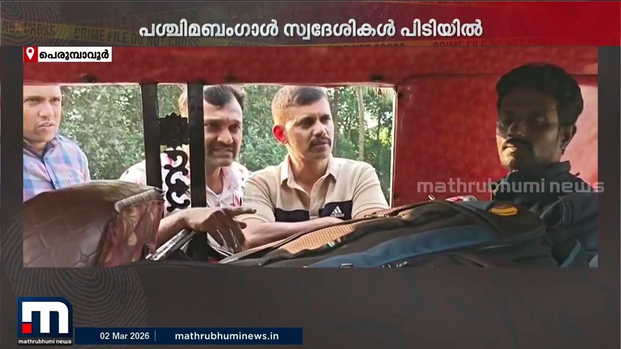 ലഹരിയുടെ കേന്ദ്രമായി പെരുമ്പാവൂര്‍: ഇന്ന് പിടികൂടിയത് 32 കിലോ കഞ്ചാവ്