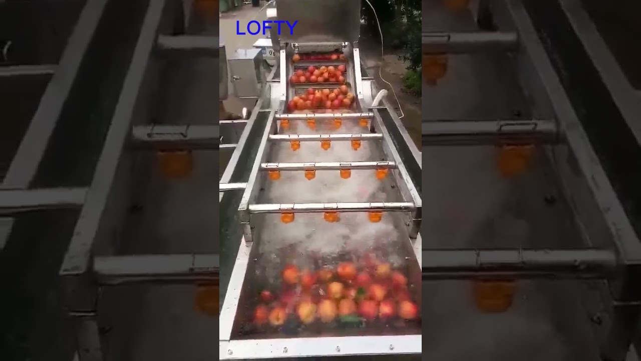 Fruit and Vegetable Washing Machine----Apple Cleaning Machine  #kitchen  #farming #fruit