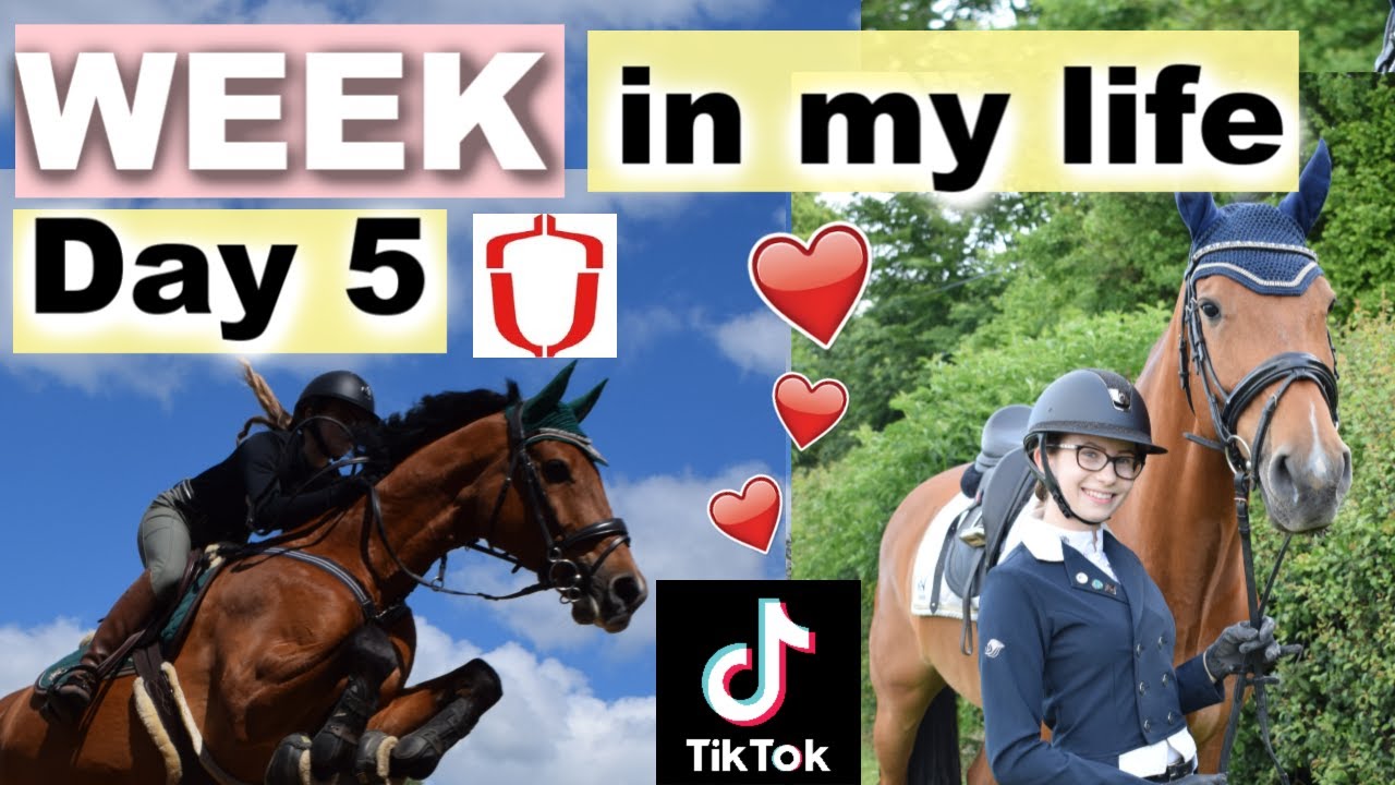 One WEEK with me | my showjumper does XC?! | Student Athlete @Hartpury | Ride Every Stride