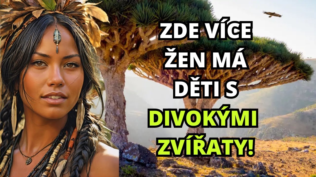 Takový je život na SOCOTRA, ostrov s velmi ZVLÁŠTNÍMI TRADICEMI…