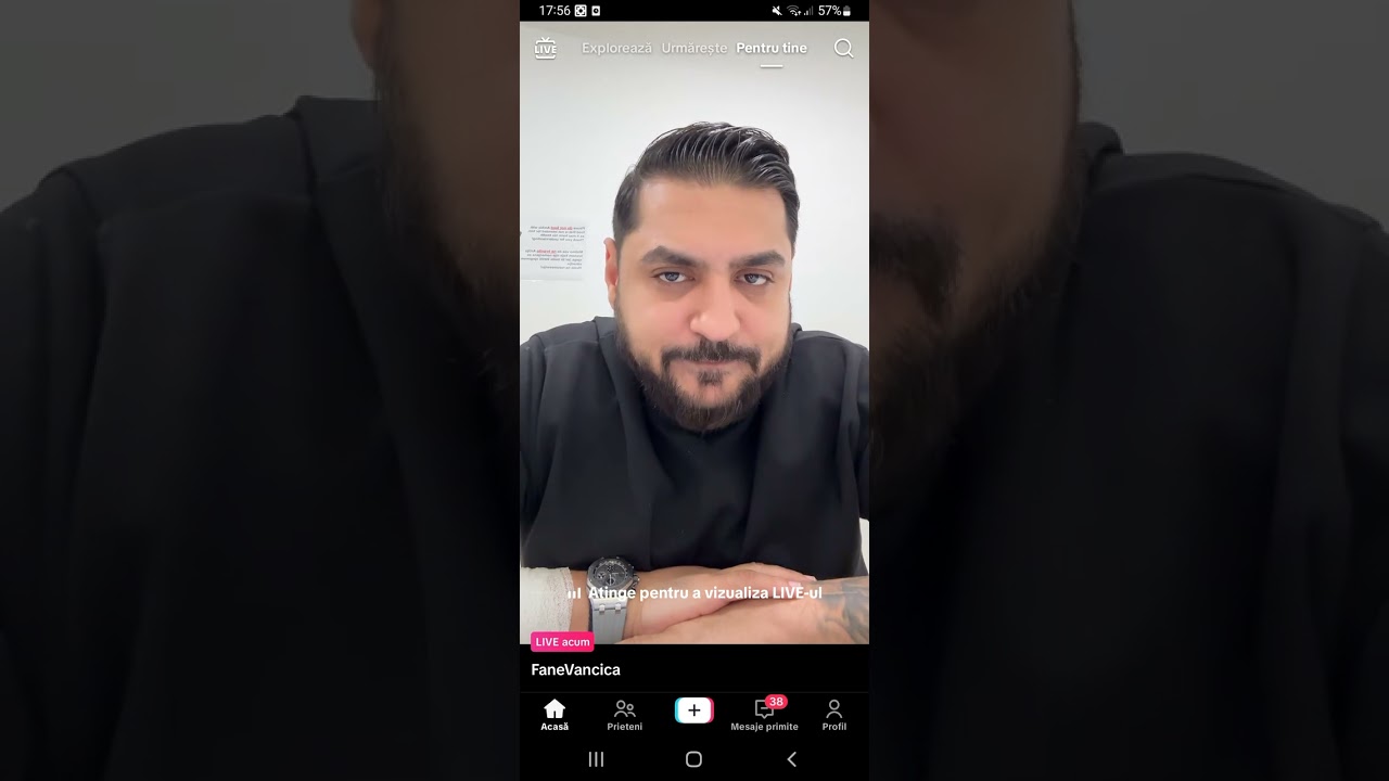Fane Vancica despre Dan Bursuc si Florin Salam