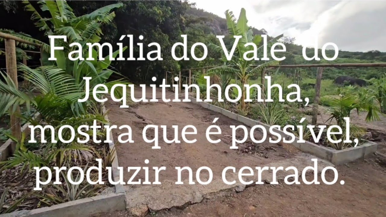 Olha o que eles fizeram 