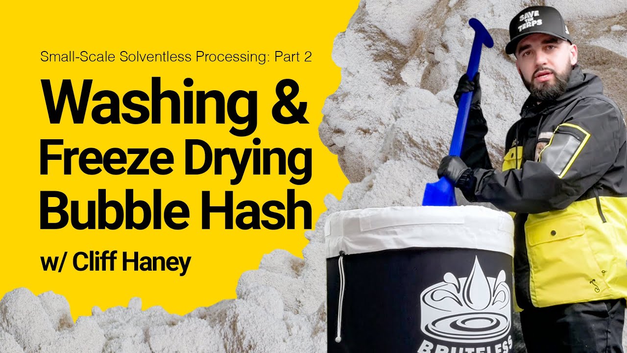 Small-Scale Solventless Processing Part 2: Washing & Freeze Drying Bubble Hash w/ Cliff Haney
