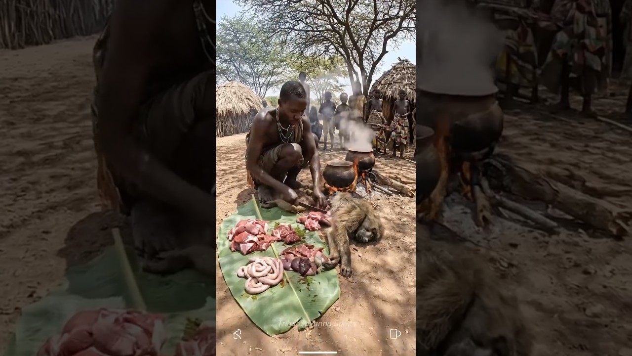 Primitive Cooking Hadzabe Tribe Cooks Baboon Meat