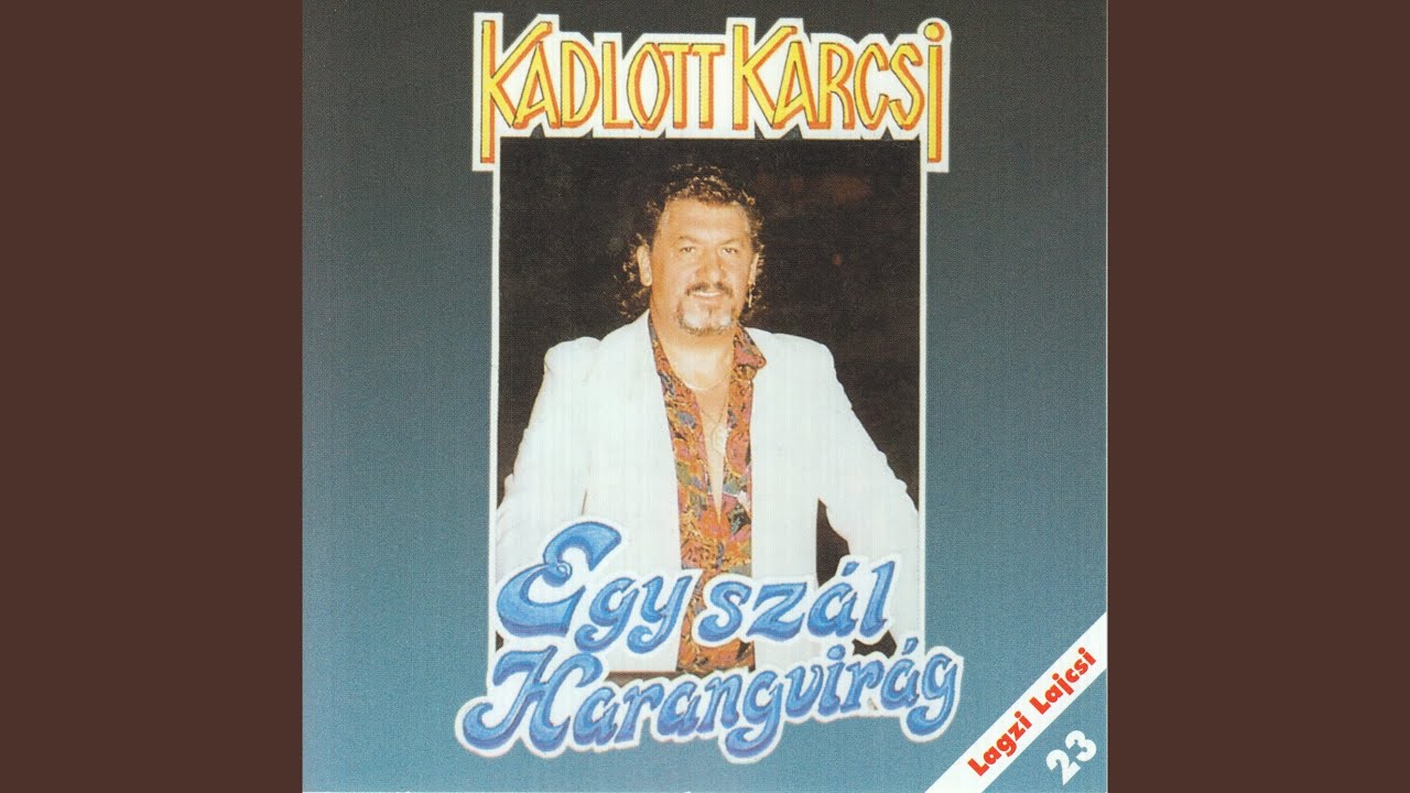 Feketehajú kis gimnazista voltál