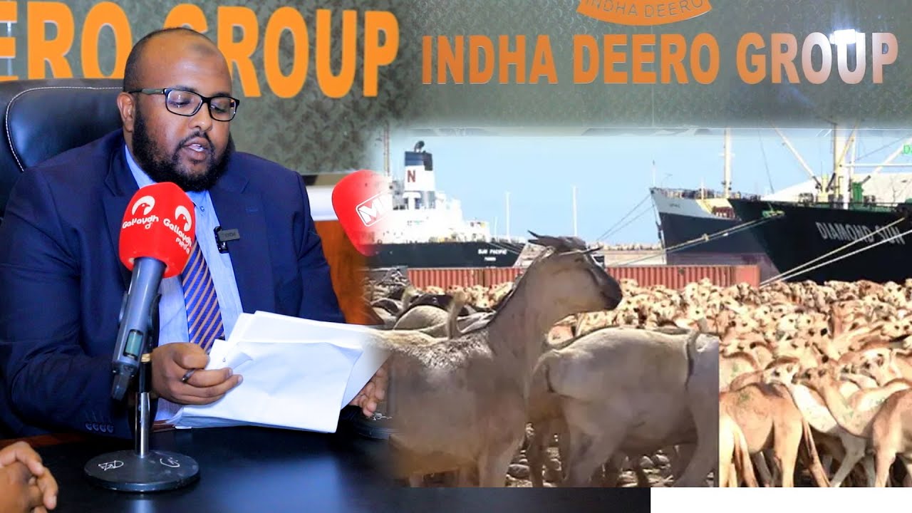 Mulkiilayaasha Maxjarka Xoolaha ee Indho-deer Berbera oo Warbaahinta la hadlay.